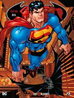 Superman/Batman: Staat van beleg 1 (van 2) [NL], Verzenden