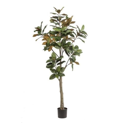 Kunstplant - 180 cm - Magnolia Grandiflora, Huis en Inrichting, Woonaccessoires | Kunstplanten en Kunstbloemen
