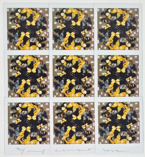Maurizio Galimberti (1956) - Butterfly, Antiek en Kunst, Kunst | Schilderijen | Modern