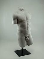 Figure - Torso greco classico, realizzato in gesso scagliola