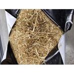 Voordroog hooi vacuum met lage eiwit - 18 kg - losse pak (, Animaux & Accessoires, Chevaux & Poneys | Autres trucs de cheval