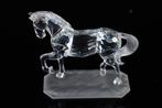 Figuur - Swarovski - Arabisch volbloed (Boxed + Certificate)