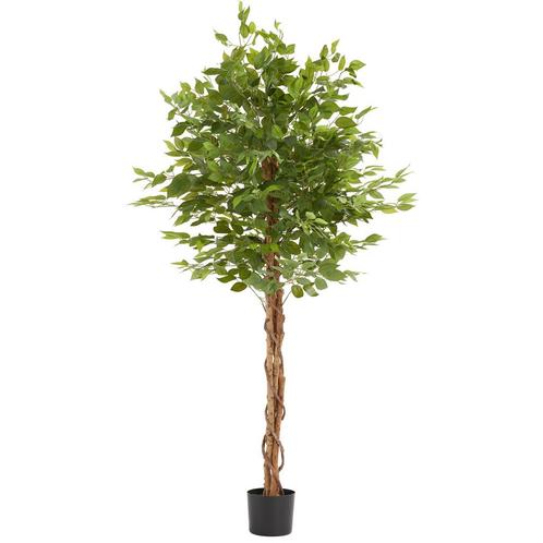 tectake Kunst ficusboom Fida, realistische textuur - 180 cm, Huis en Inrichting, Kamerplanten, Verzenden