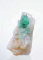 Émeraude Cristal sur matrice - Hauteur : 32 mm - Largeur :, Verzamelen