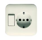 ABB Busch-Jaeger SI Gecombineerde Schakelaar Stopcontact, Verzenden, Nieuw