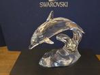 Swarovski - Beeldje - Dolphin - 190365 - Kristal, Antiek en Kunst