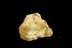 Goud Natif, goudklomp uit Suriname of Frans-Guyana- 0.62 g -, Nieuw