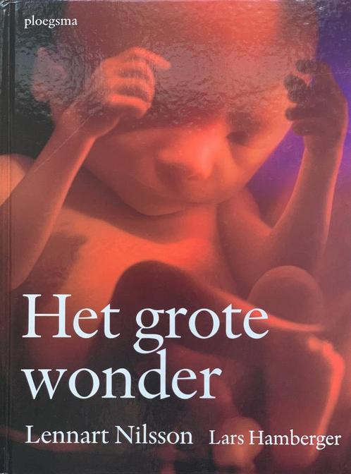 Het grote wonder 9789021617862 Lars Hamberger, Boeken, Zwangerschap en Opvoeding, Zo goed als nieuw, Verzenden