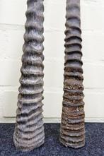 Gemsbok Hoorns - Oryx gazella - 3 cm - 3 cm - 86 cm-, Verzamelen, Dierenverzamelingen, Nieuw