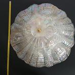 Lampe murale - Verre de Murano, Antiek en Kunst