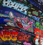 BLACH - New York Pink Panther, Antiek en Kunst