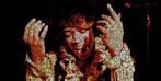 David Law - Crypto Jimi Hendrix - Burn