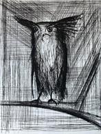 Bernard Buffet (1928-1999) - La chouette