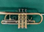Ida Maria Grassi - TR410 Master Sib-do - - Trompette, Muziek en Instrumenten, Nieuw