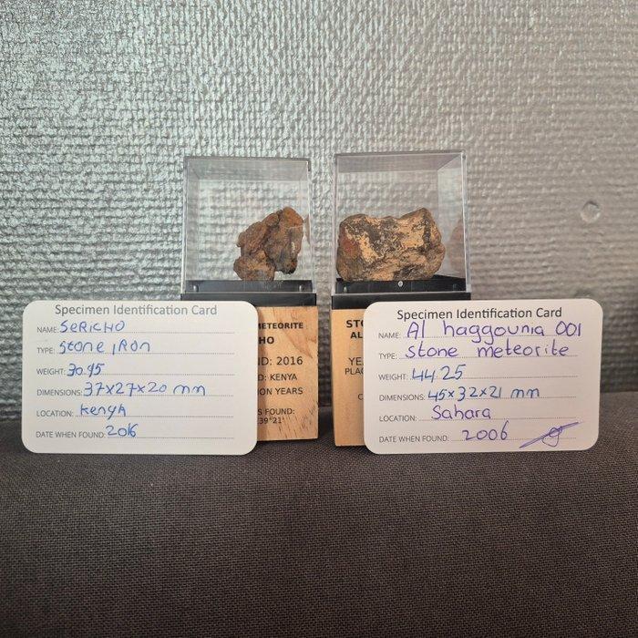 Meteorieten collectie in display 2 originele meteorieten -, Verzamelen, Mineralen en Fossielen