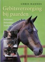 Gebitsverzorging bij paarden 9789058777379 C. Hannes, Verzenden, Zo goed als nieuw, C. Hannes