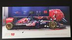 Scuderia Toro Rosso - Carlos Sainz - 2015 - Fancard, Nieuw