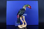 Figuur - Swarovski - Toekan (Boxed + certificate) - Kristal
