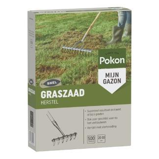 Graszaad herstel | Pokon | 20 - 30 m² (500 gram), Tuin en Terras, Gras en Kunstgras, Verzenden