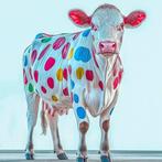 JD Paris - #2 - Cow’Pop