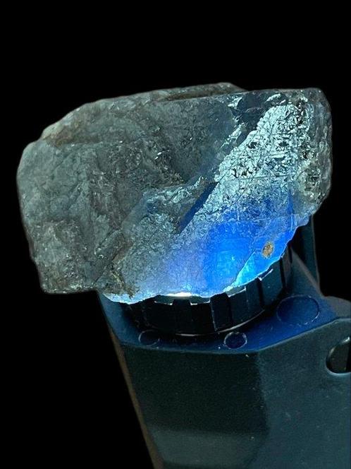 Saffier Ruwe verbazingwekkende enorme bicolor blauwe, Verzamelen, Mineralen en Fossielen