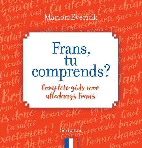 Frans, tu comprends 9789463190732, Boeken, Taal | Overige Talen, Zo goed als nieuw, Verzenden