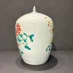 Vase - Porcelaine - Chine - Dynastie Qing (1644–1911) (Sans, Antiek en Kunst