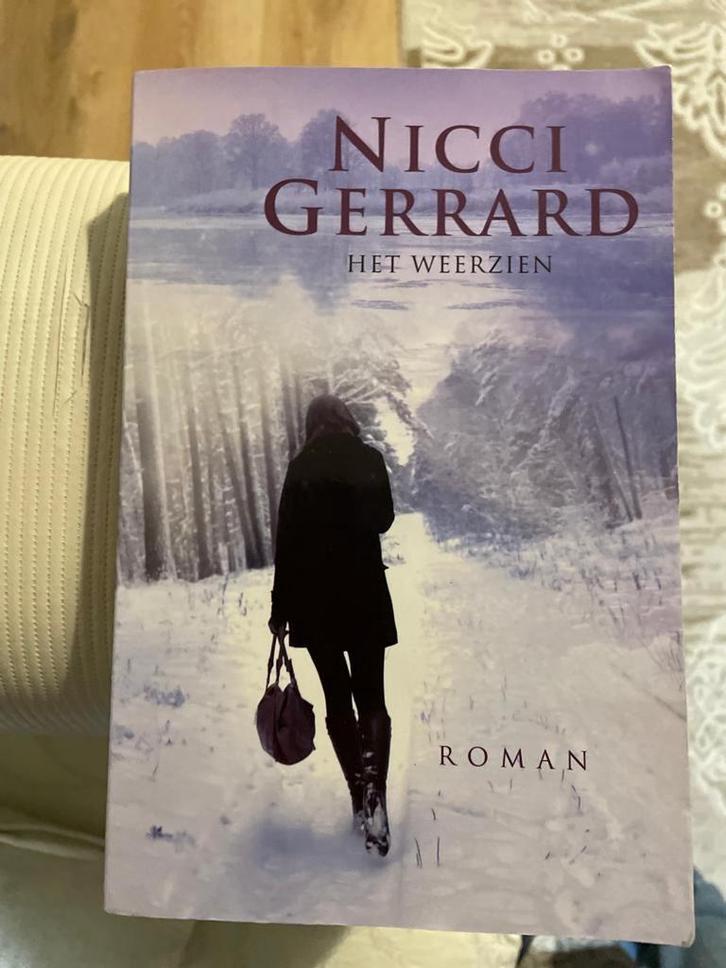 Het weerzien 9789048001941 Nicci Gerrard, Boeken, Romans, Gelezen, Verzenden