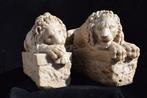 Sculpture, Coppia leoni - 16 kg - 31 cm - Marbre de Carrara., Antiquités & Art