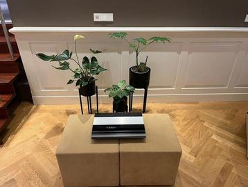 Bang & Olufsen - BeoGram CDX2 - Lecteur CD