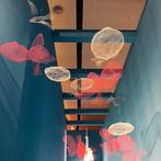 Magis Me Too Clouds - Wolk 55 cm, Maison & Meubles, Verzenden