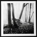 Frank Machalowski - tierwald#97