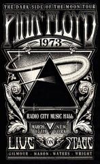 Æ (XX-XXI) - (Set of 3) – Pink Floyd | Limited Hand Painted, Cd's en Dvd's, Nieuw in verpakking