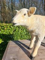 Beeld, life size and a lifelike (Texel lamb) - 43 cm -