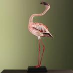 Lesser Flamingo Taxidermie Opgezette Dieren By Max, Verzamelen, Dierenverzamelingen, Ophalen of Verzenden, Nieuw, Vogel, Opgezet dier