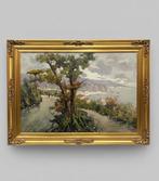 S. Minichino (XX) - Veduta Costiera