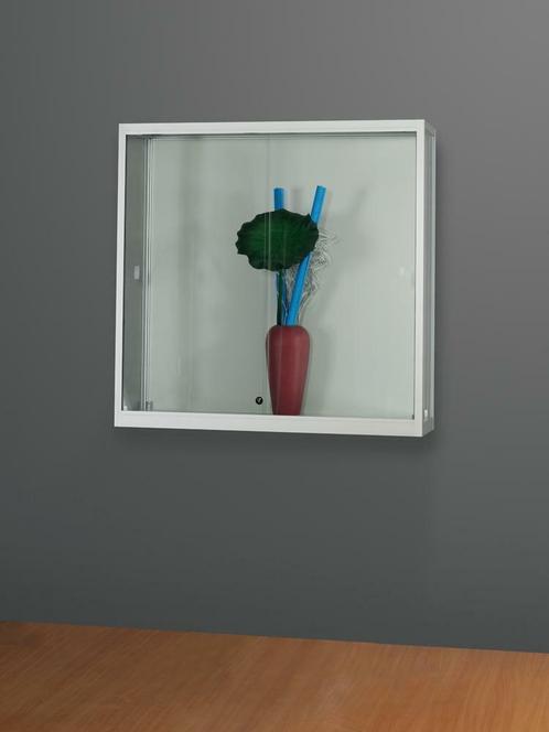 *TIP*  Luxe vitrinekast aluminium 100 cm, Zakelijke goederen, Kantoor en Winkelinrichting | Winkel en Inventaris, Ophalen of Verzenden
