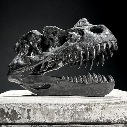 sculptuur, NO RESERVE PRICE - A Replica of Dinosaur Skull -, Verzamelen, Dierenverzamelingen