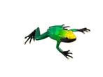 Figurine - Tropical frog - Bronze