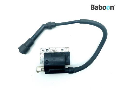 Bobine Royal Enfield Himalayan 410 2021->, Motoren, Onderdelen | Overige, Gebruikt, Verzenden