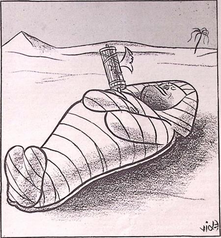 Vrij Nederland - Egypte (lijst optie), Verzamelen, Militaria | Tweede Wereldoorlog, Foto of Poster, Verzenden