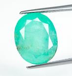 Zonder minimumprijs Smaragd - 6.43 ct - Bellerophon Gemlab -, Handtassen en Accessoires, Edelstenen, Nieuw