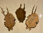 3 antieke hertenbokgeweien met houten schild Gewei -, Antiek en Kunst