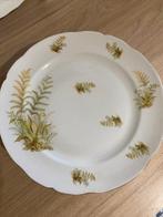 Limoges - Chapus et Fils - Assiette de service (6) -, Antiek en Kunst