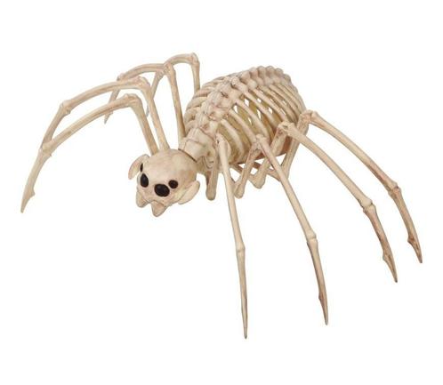 Halloween Tarantula Skelet 35x20cm, Hobby & Loisirs créatifs, Articles de fête, Envoi