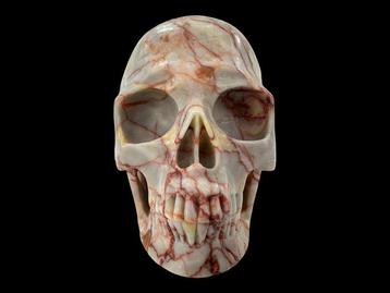 Réseau rouge Jasper « Qualité muséale » Crâne sculpté -