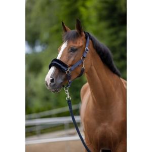 Licol classicsoft cob navy, Dieren en Toebehoren, Paarden en Pony's | Overige Paardenspullen