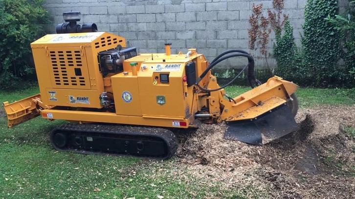 Rognage de souche , dessouchage, Diensten en Vakmensen, Tuinmannen en Stratenmakers, Garantie