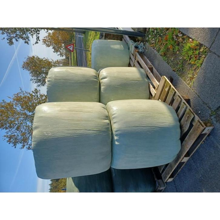 Voordroog hooi ronde baal - circa 150 kg - ideaal voor, Dieren en Toebehoren, Paarden en Pony's | Overige Paardenspullen, Nieuw