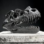Sculpture, NO RESERVE PRICE - A Replica of Dinosaur Skull -, Verzamelen, Nieuw